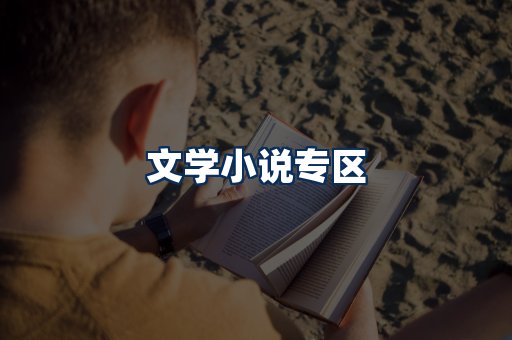 文学小说PDF展示